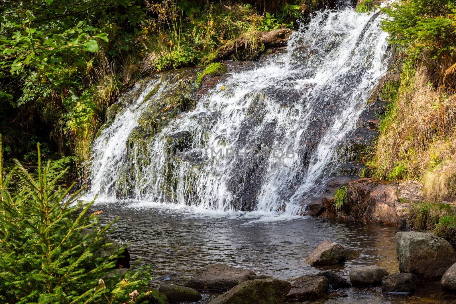 View at waterfall nearby Menzenschwand, Black Forest, Germany by reinerc