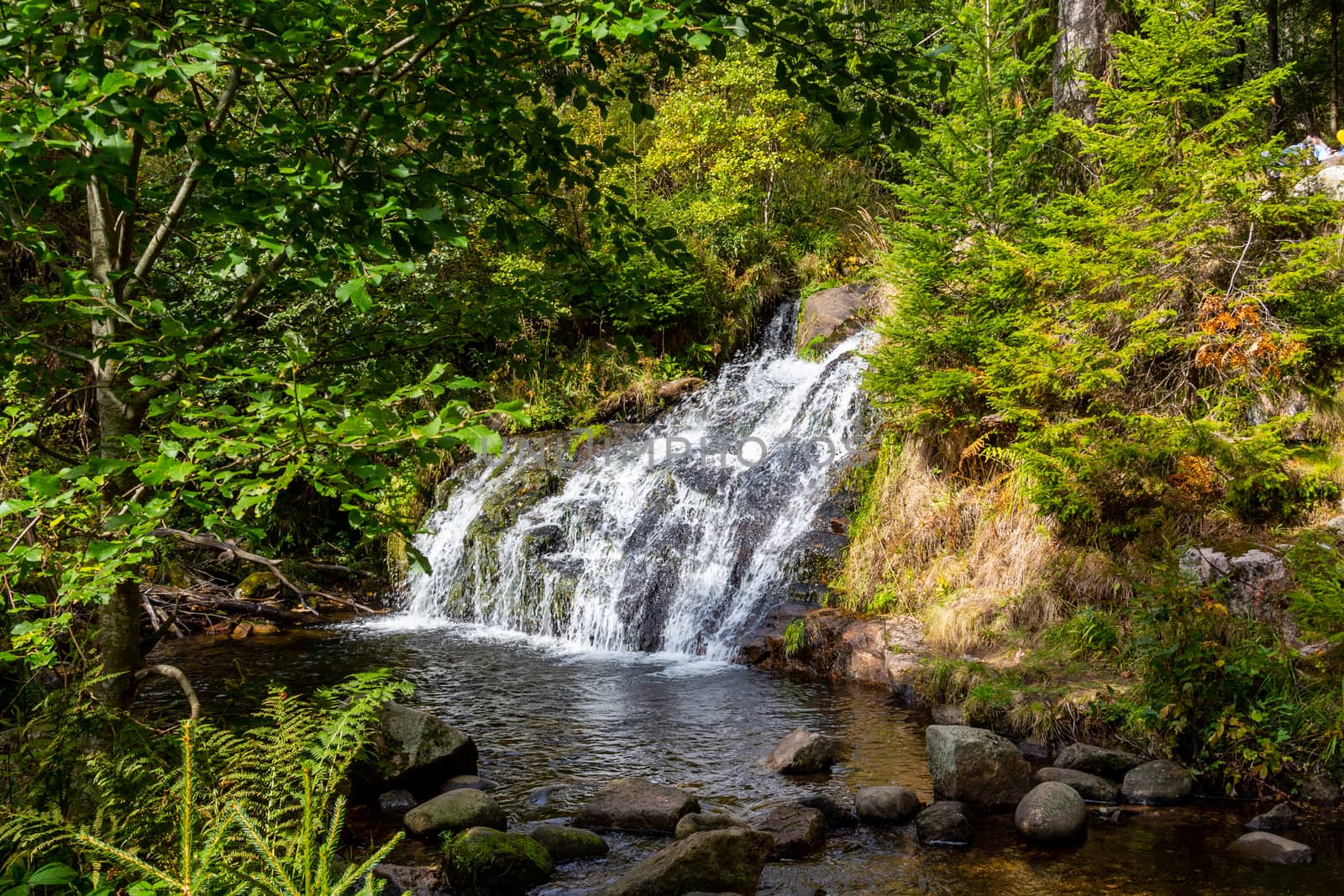 View at waterfall nearby Menzenschwand, Black Forest, Germany by reinerc