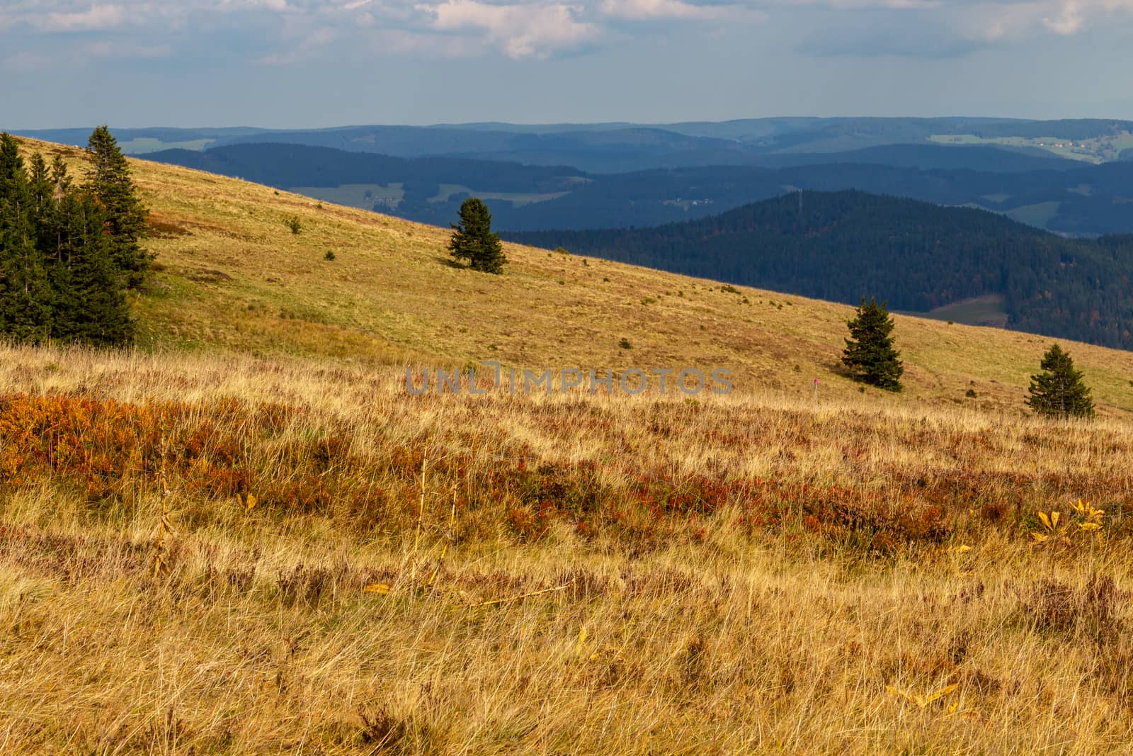 Landscape on the summit of the Feldberg by reinerc