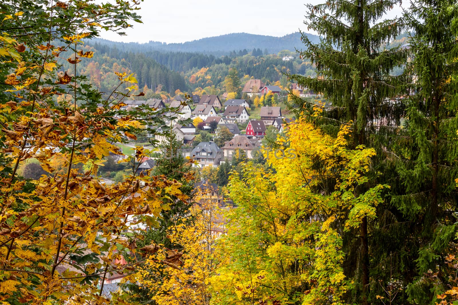 Wide angle view at St. Blasien in the Black Forest, Germany