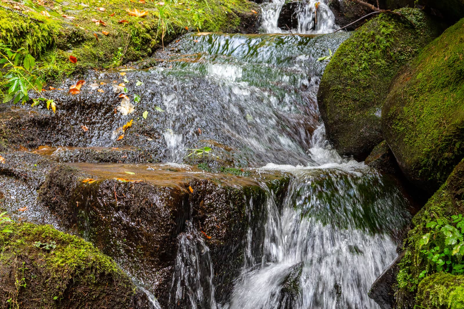 Stream and waterfall along a trail nearby St. Blasien, Black Forest