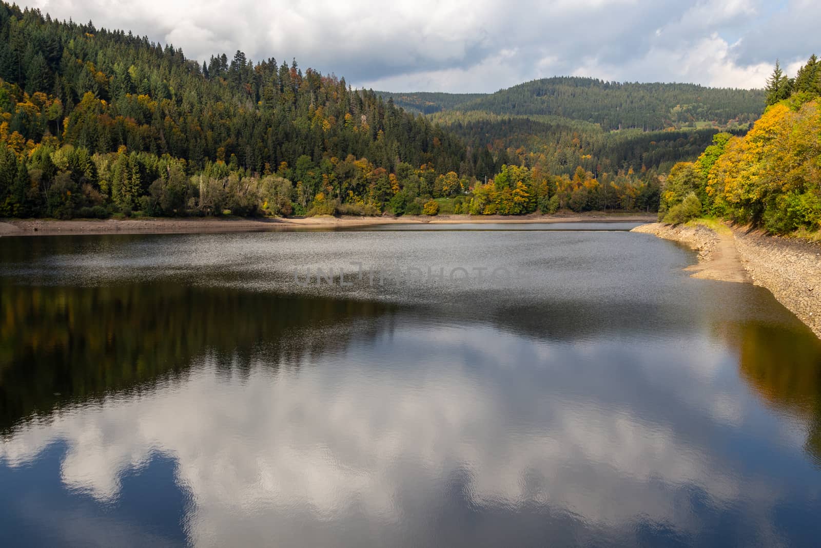 Idyllic view at Alb water reservoir in the Black Forest by reinerc