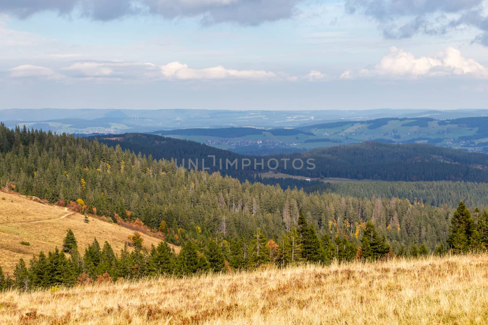 Scenic view from Feldberg tower at landscape of Black Forest in  by reinerc