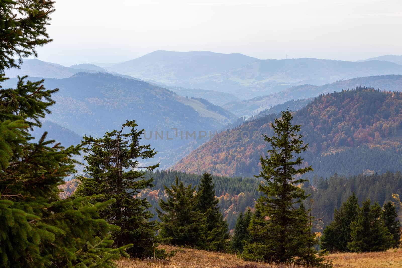 Landscape on the summit of the Feldberg, Black Forest, Germany