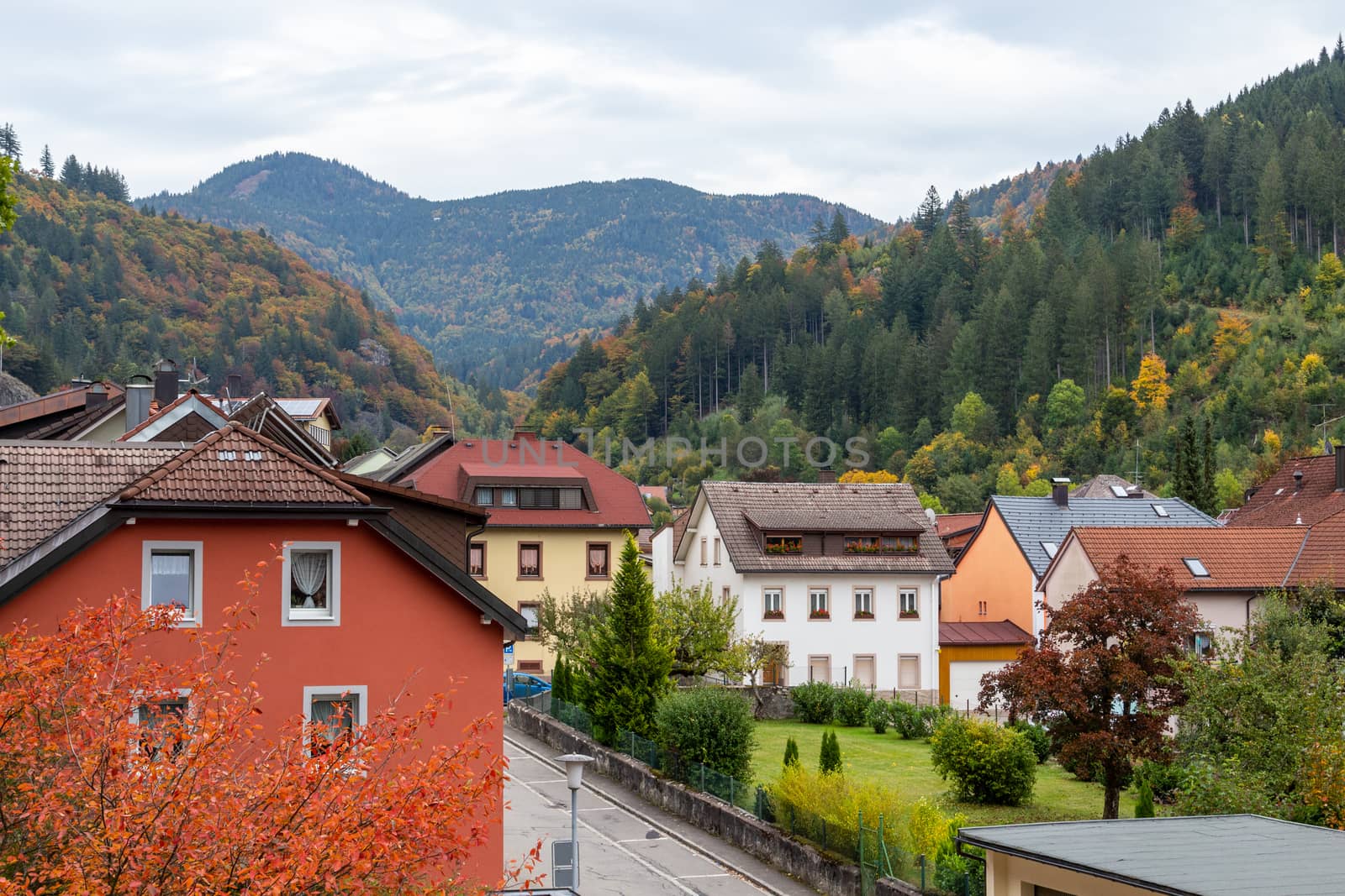 View at the cathedral  of  St. Blasien, Black Forest, Germany by reinerc