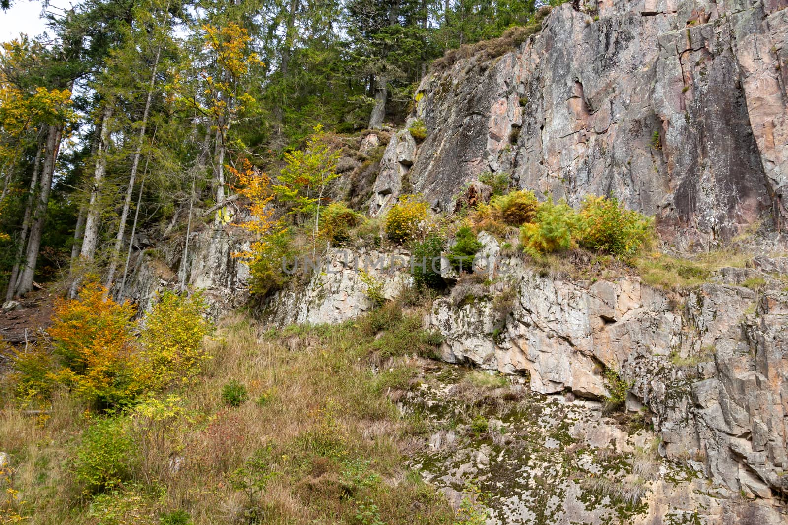 Landscape with trees and rocks along a trail nearby St. Blasien by reinerc