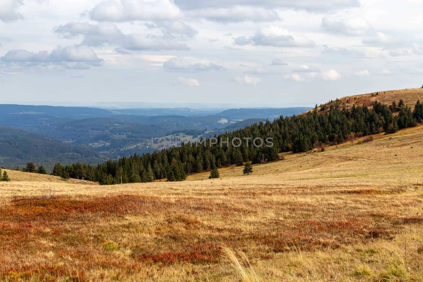 Landscape on the summit of the Feldberg by reinerc