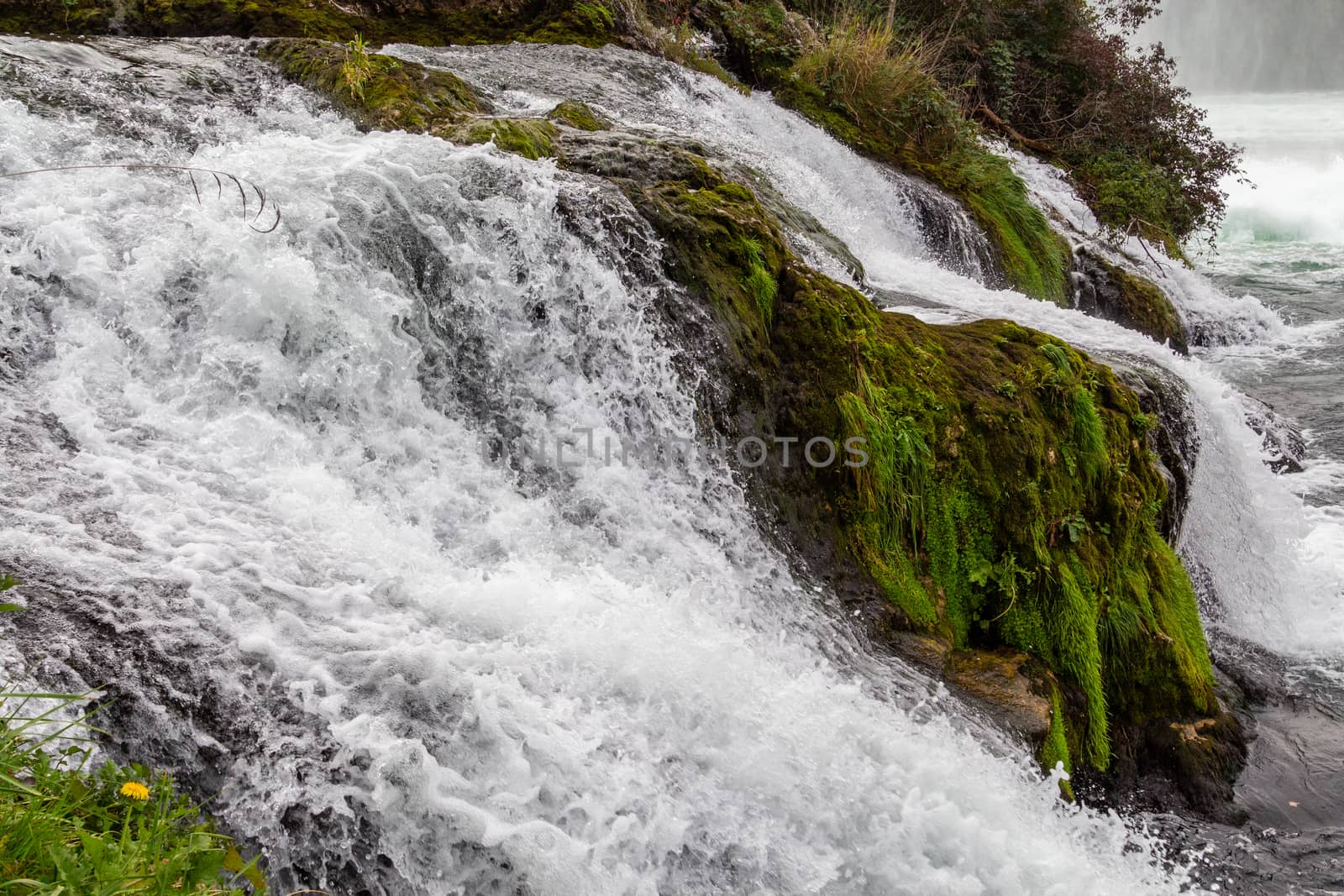 View at the Rhine Falls nearby Schaffhausen by reinerc