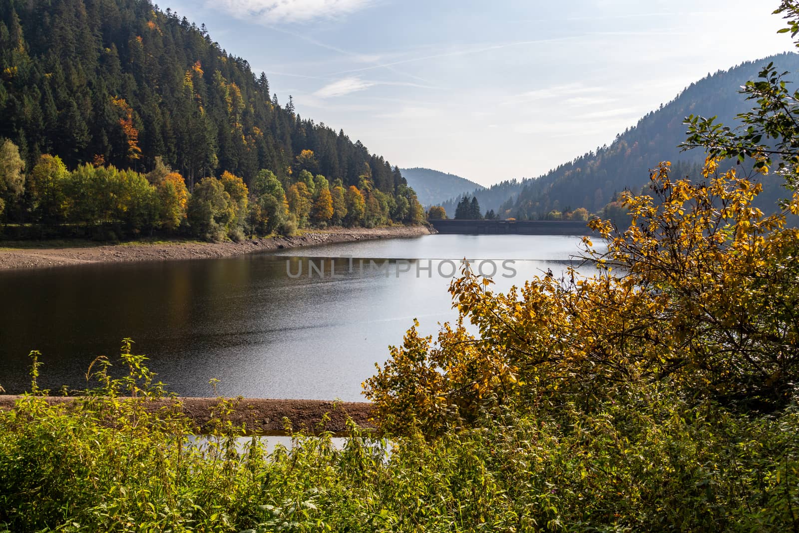 Idyllic view at Alb water reservoir in the Black Forest by reinerc