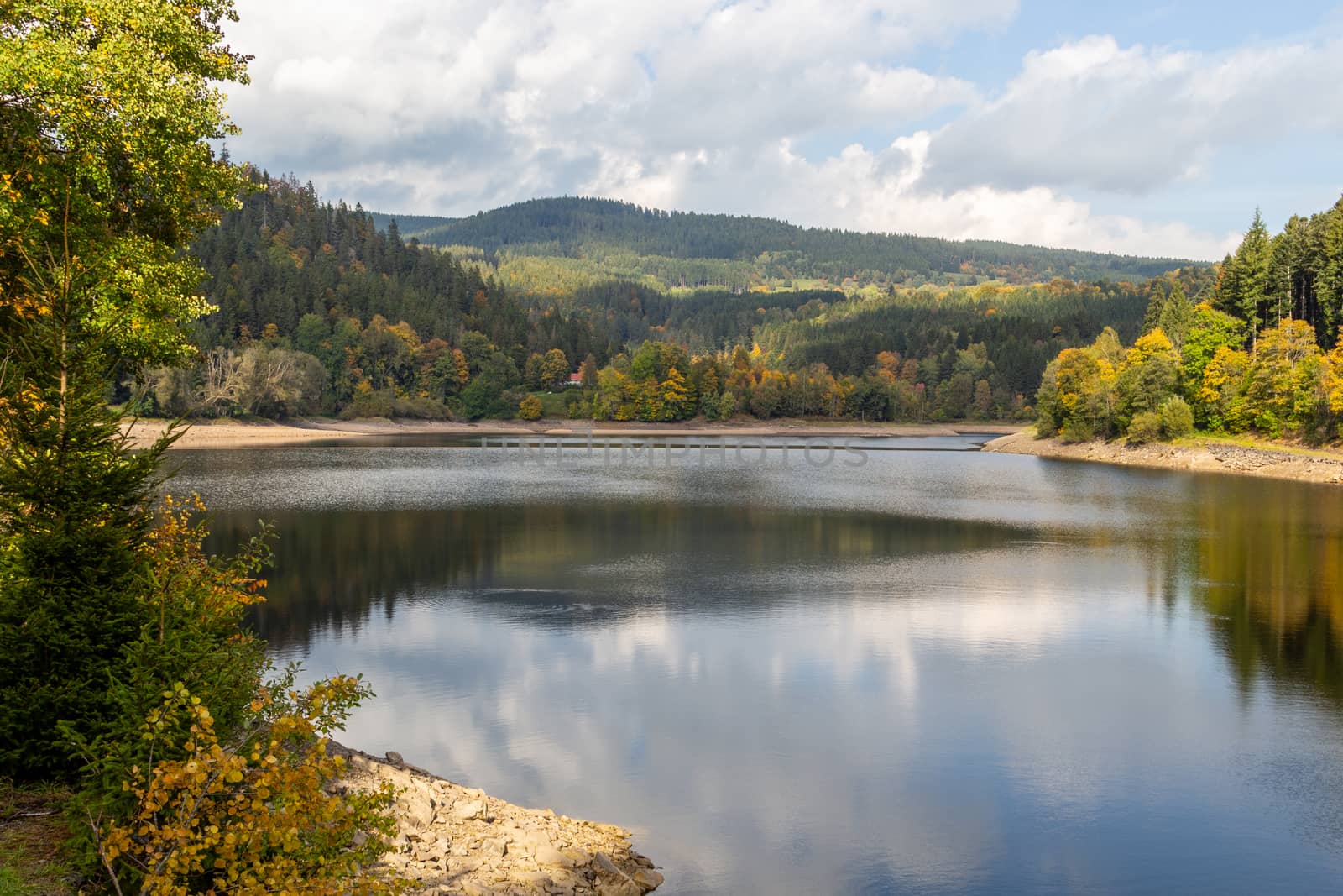 Idyllic view at Alb water reservoir in the Black Forest, Germany