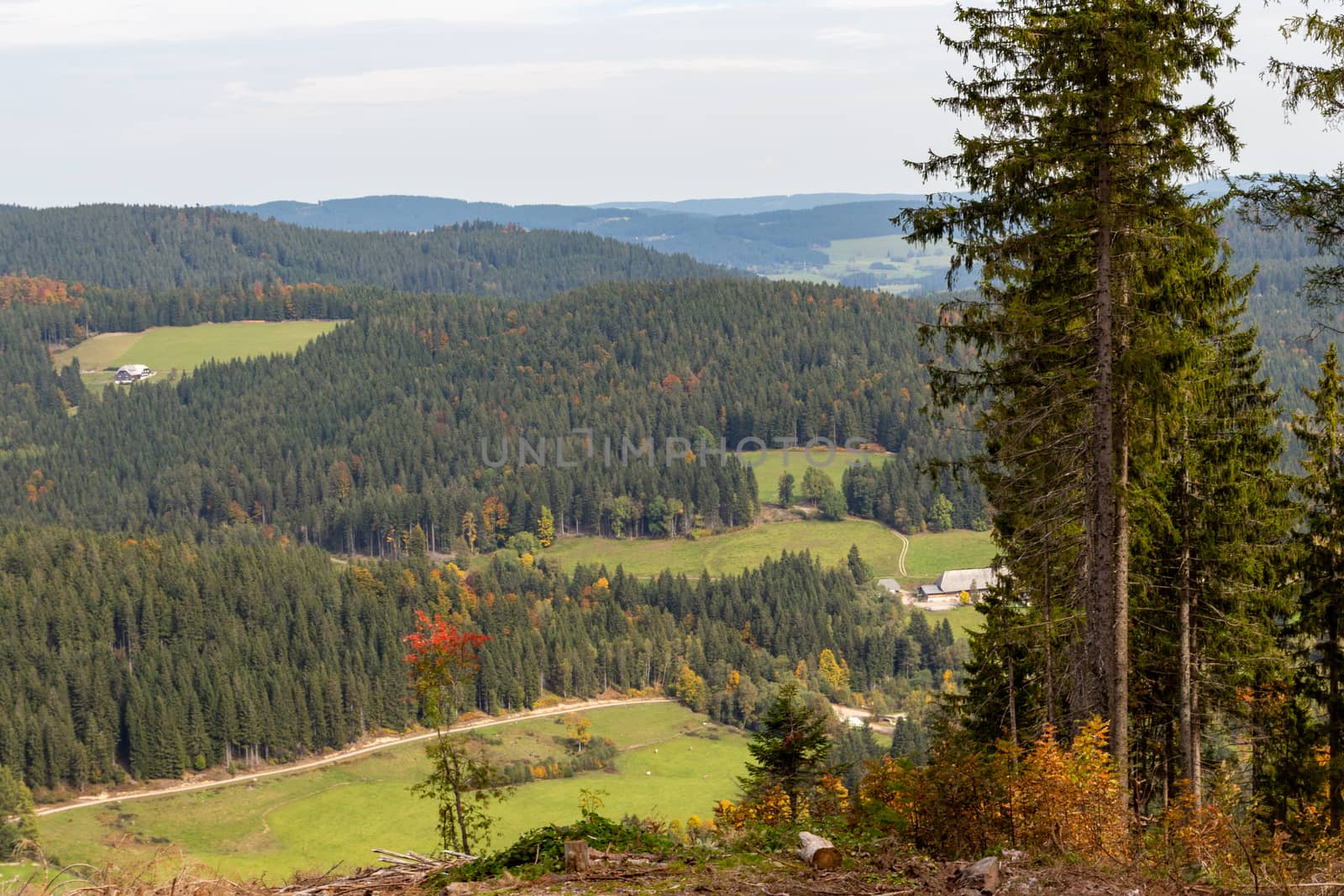 Scenic view at landscape nearby the mountain Feldberg, Black Forest in autumn with multi colored trees