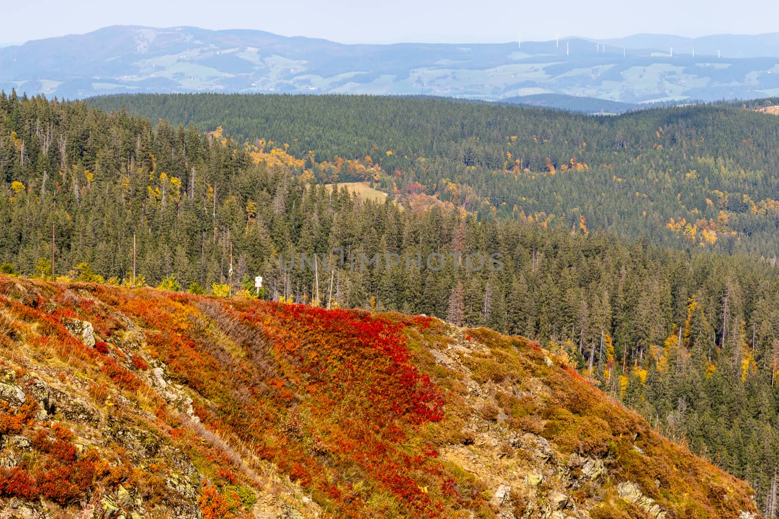 Scenic view at landscape from Feldberg, Black Forest in autumn w by reinerc