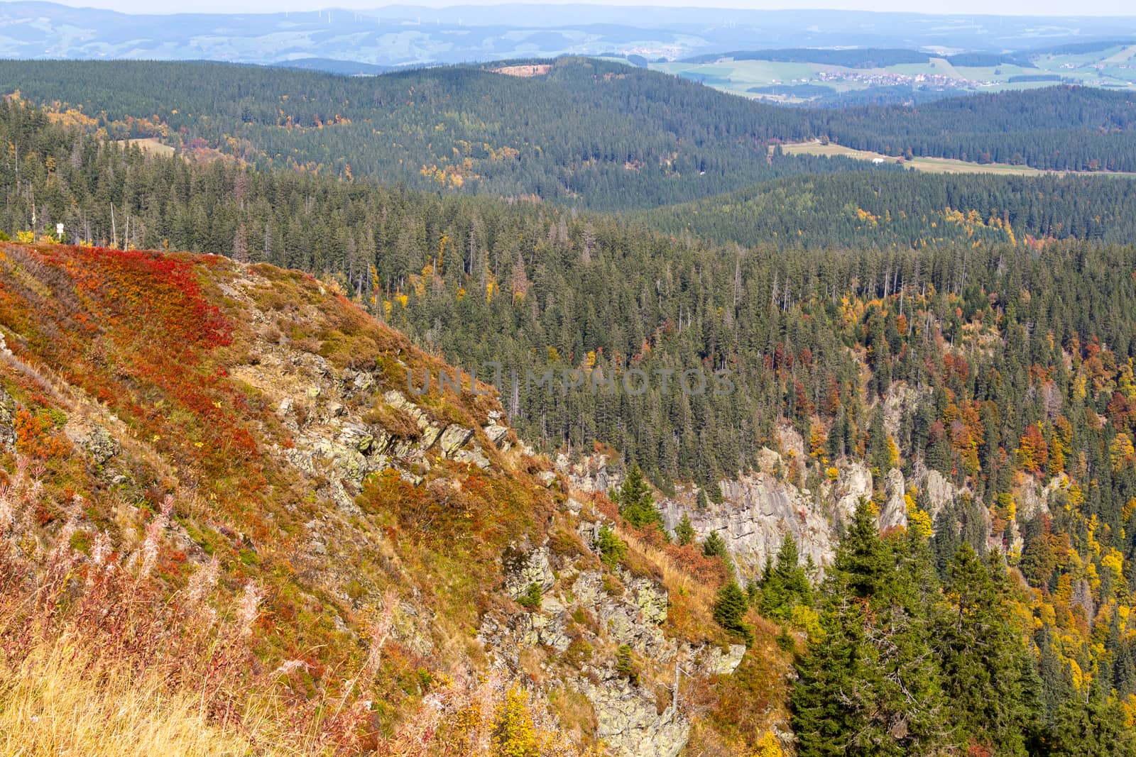 Scenic view at landscape from Feldberg, Black Forest in autumn w by reinerc