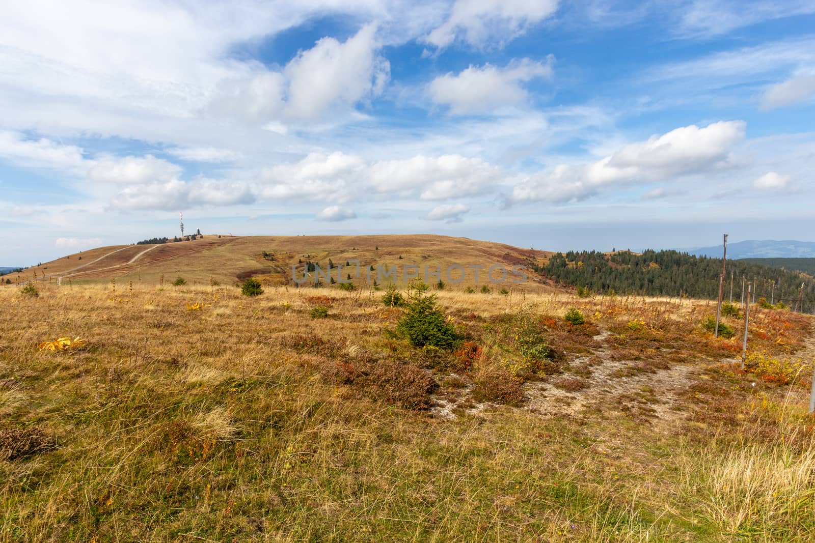 Scenic view at landscape from Feldberg, Black Forest in autumn w by reinerc