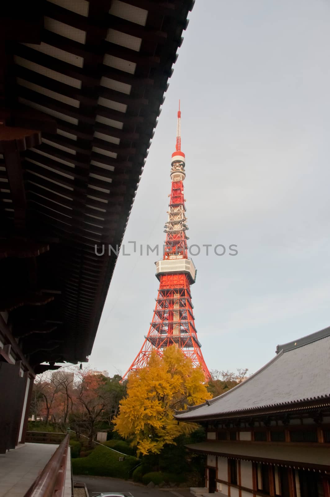 TOKYO, JAPAN - DECEMBER 1, 2018: Scene of Tokyo tower nearby Zojo-ji Buddhist temple. This is a famous temple which has the oldest wooden main gate in Tokyo built from 1622. There is nobody in the photo.