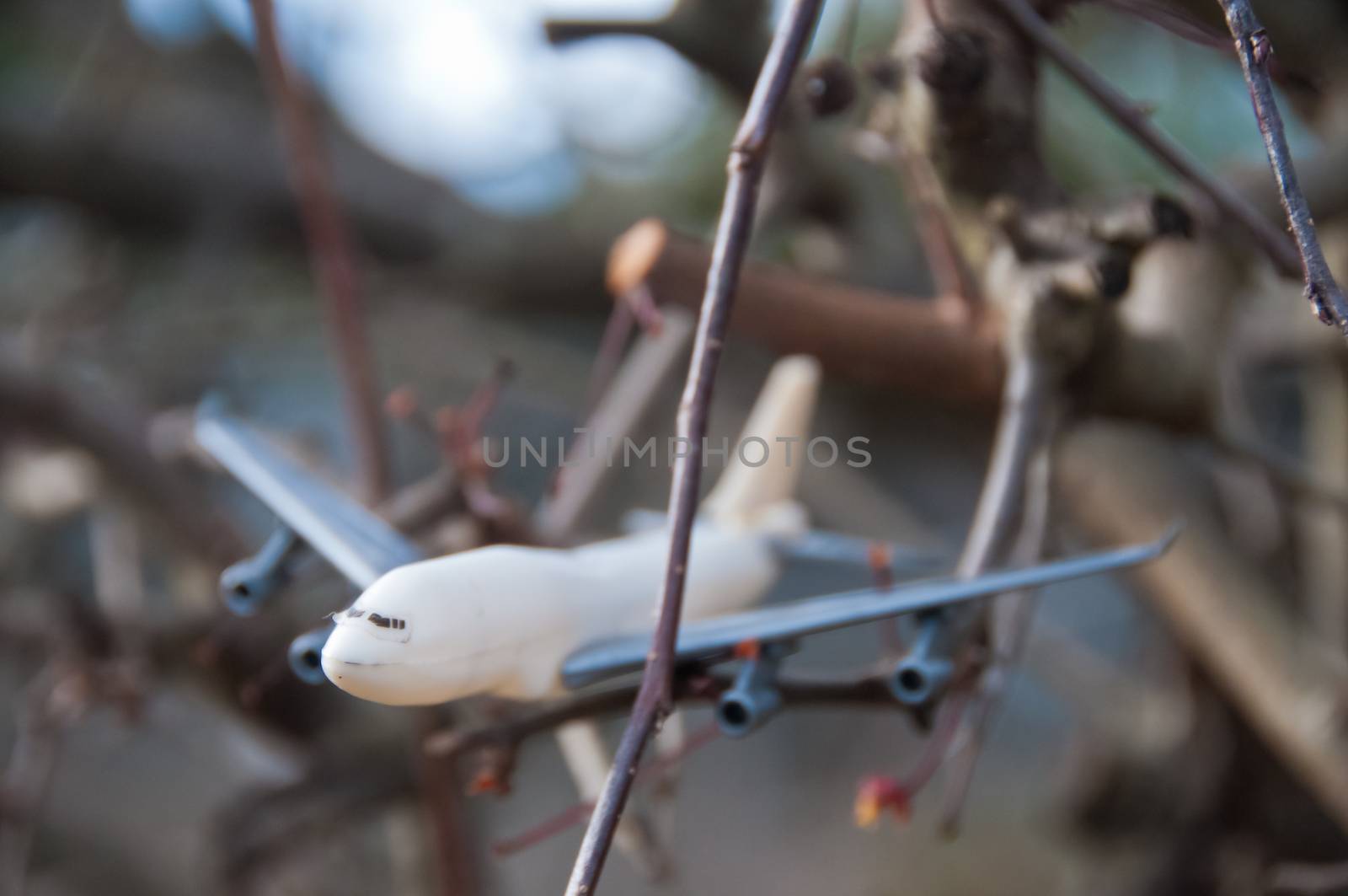 Model toy plane close-up in a forest