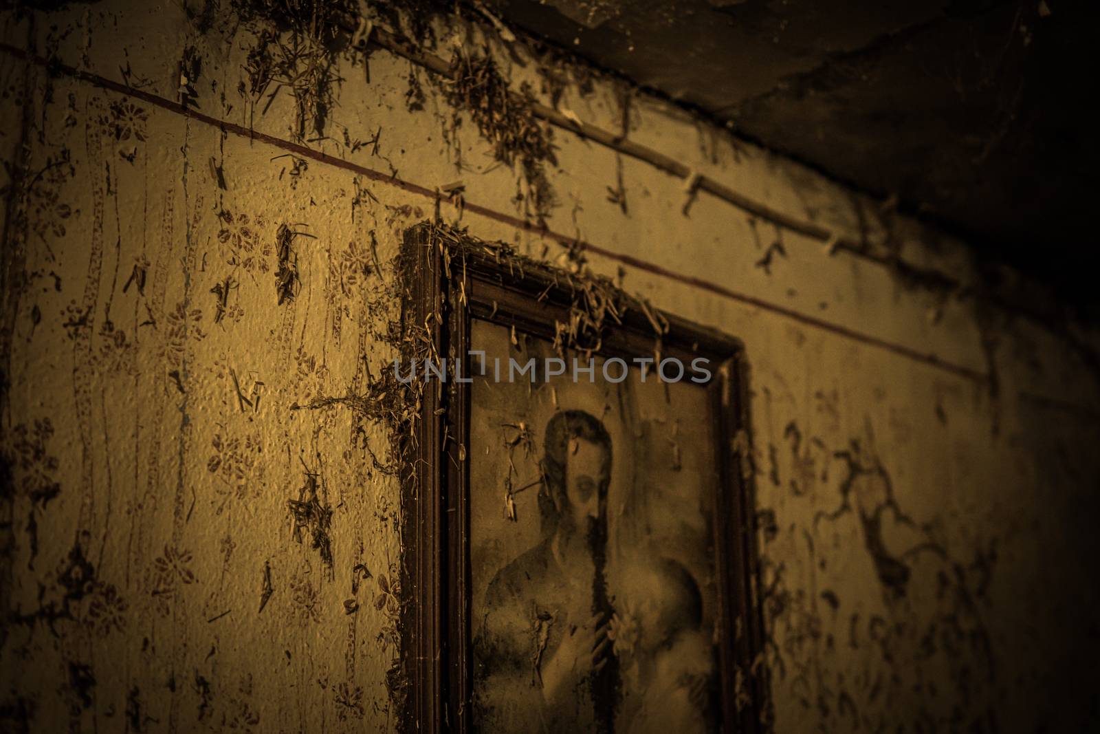 An old abandoned farm house, a lost place with dirty furniture and dusty paintings by mindscapephotos