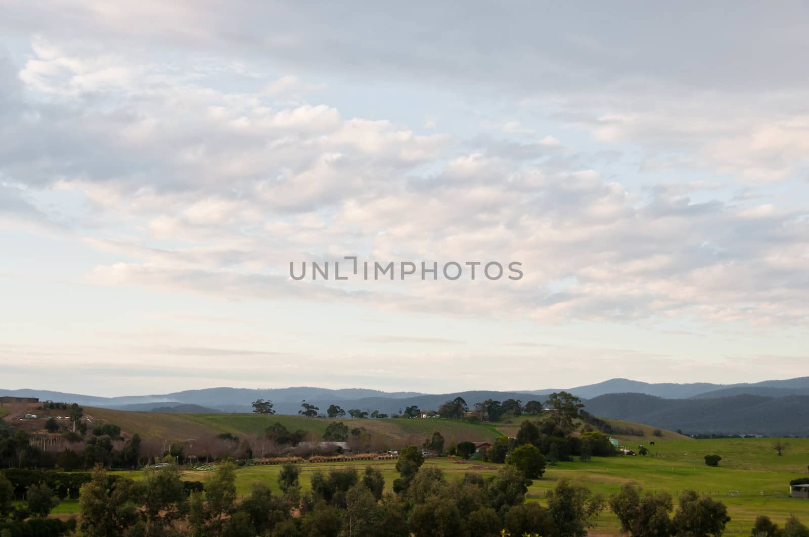 Peaceful evening scene of Yarra Valley countryside and mountainr by eyeofpaul