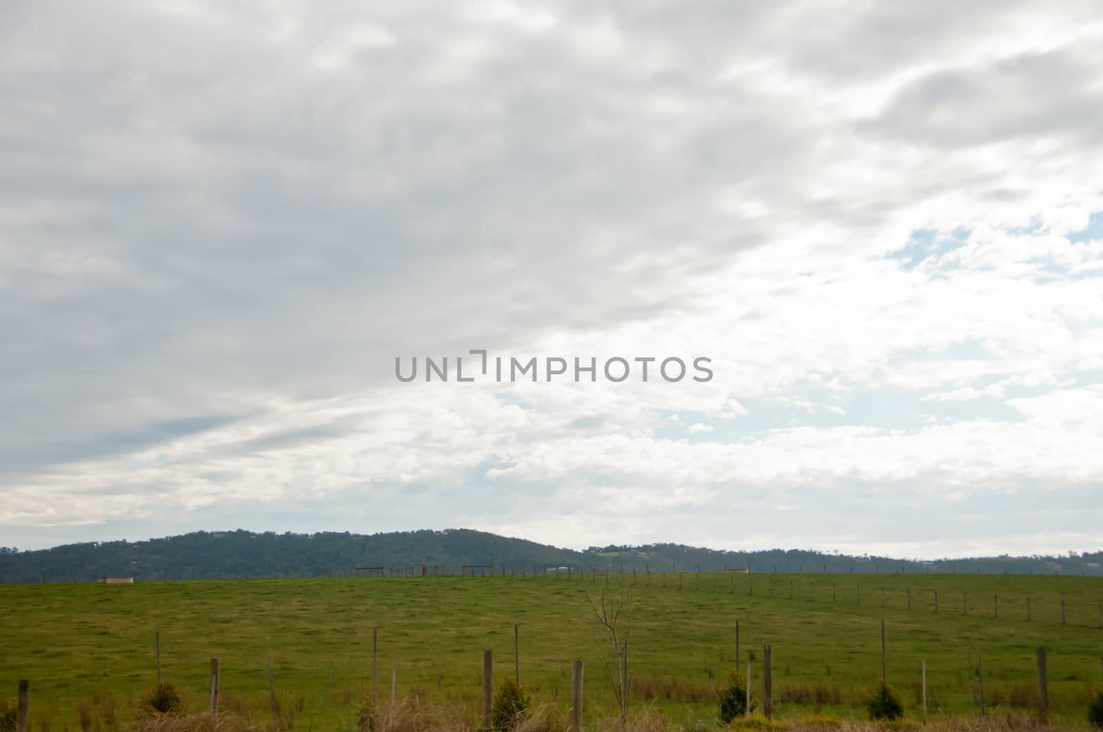 Green meadow countryside mountain in Yarravalley Victoria Australia