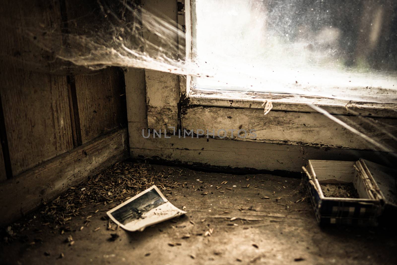 An old abandoned farm house, a lost place with dirty furniture and dusty paintings by mindscapephotos