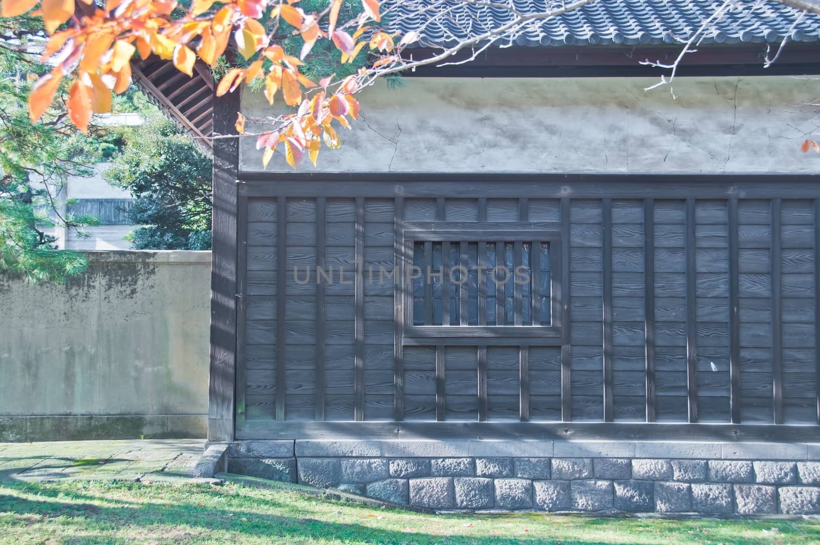 Traditional Japanese wooden house with Autumn red orange green trees leaves