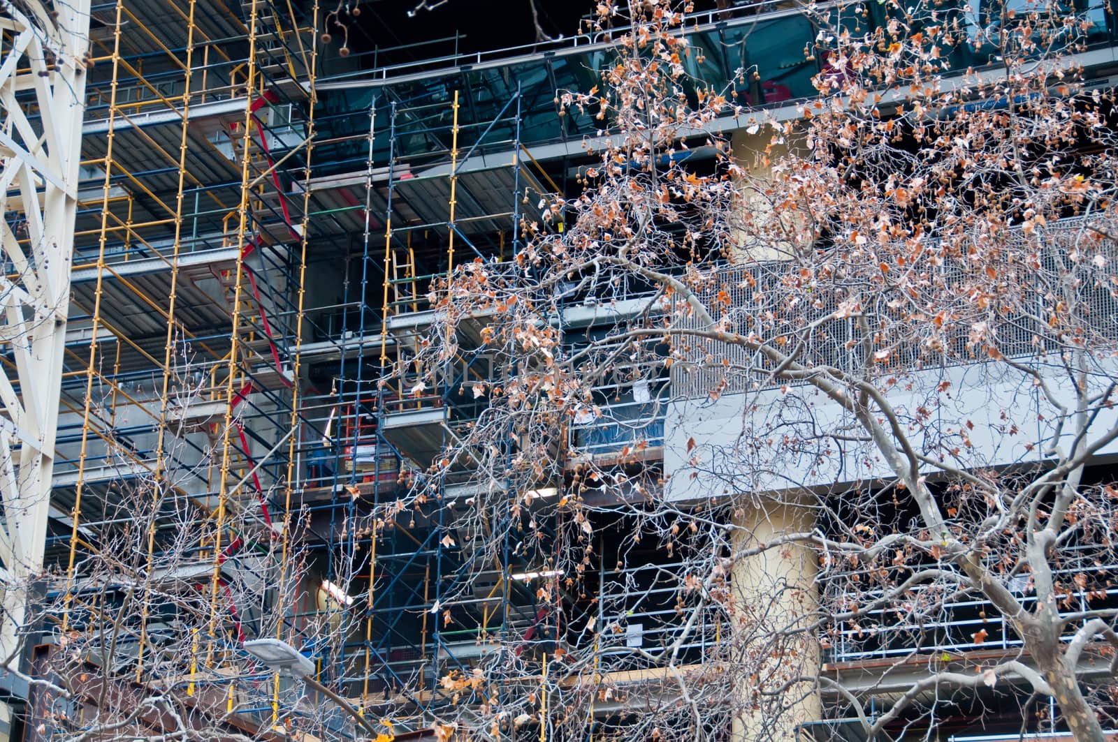 Construction scaffolding of high-rise building and dried leaves tree in Autumn