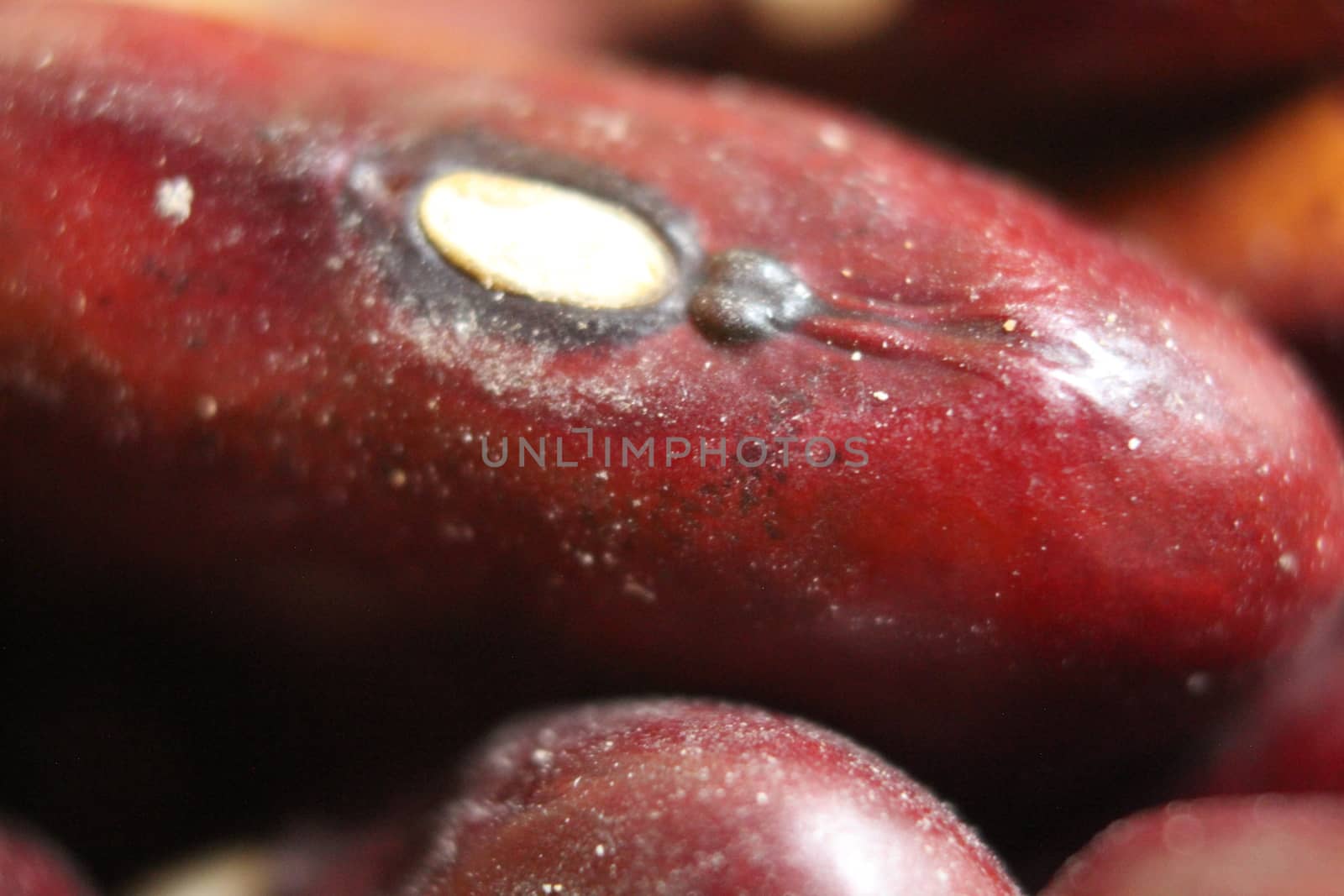 High angle close up picture of baked red kidney bean served with sauce