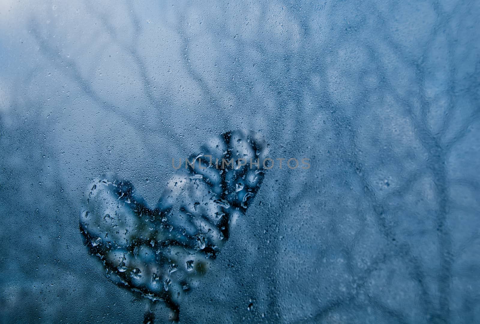 Heart shape on droplet window of cold misty morning by eyeofpaul