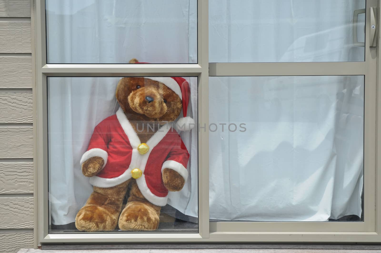 Golden bear in Santa Claus dress standing on white wooden window