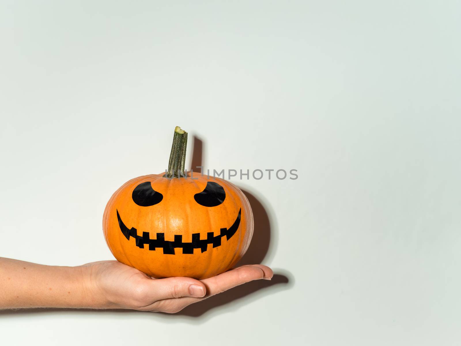 Halloween pumpkin in hand on white wall background. Halloween concept with copy space for text or design. Hard light. Jack-o-lantern laughing face on orange squash