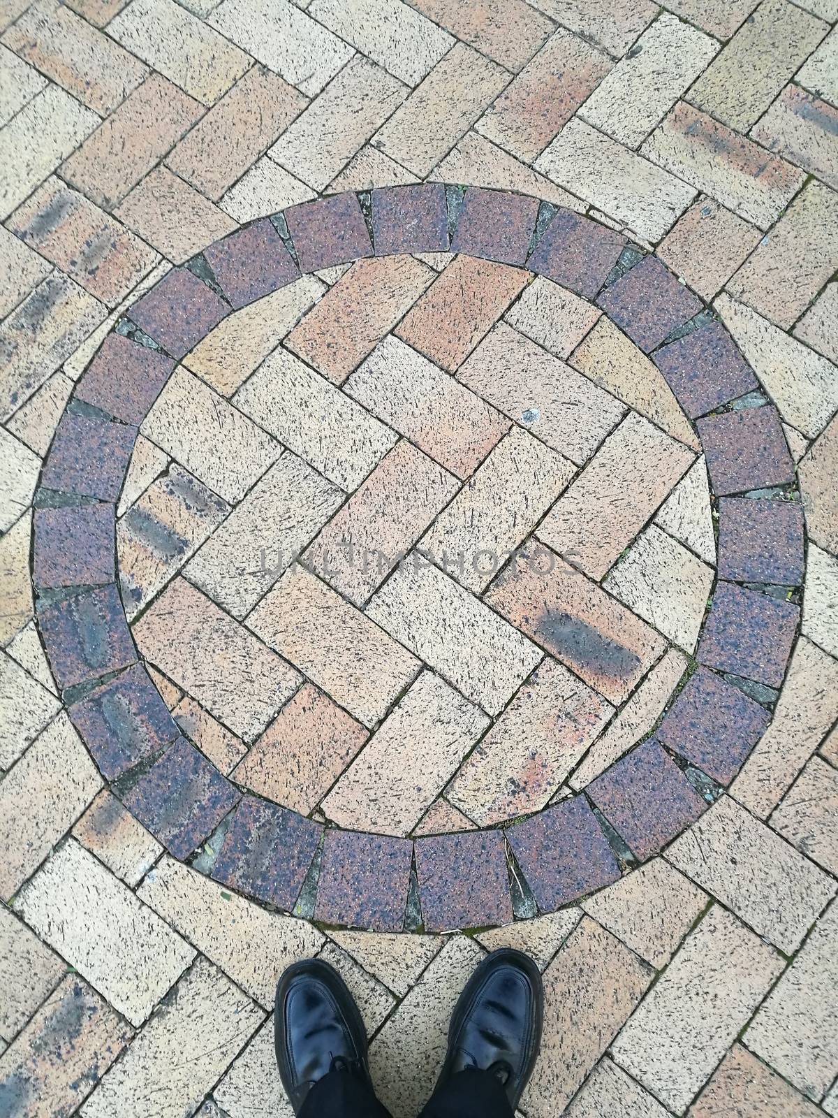 Black leather shoes standing below circle shape cobblestone floor