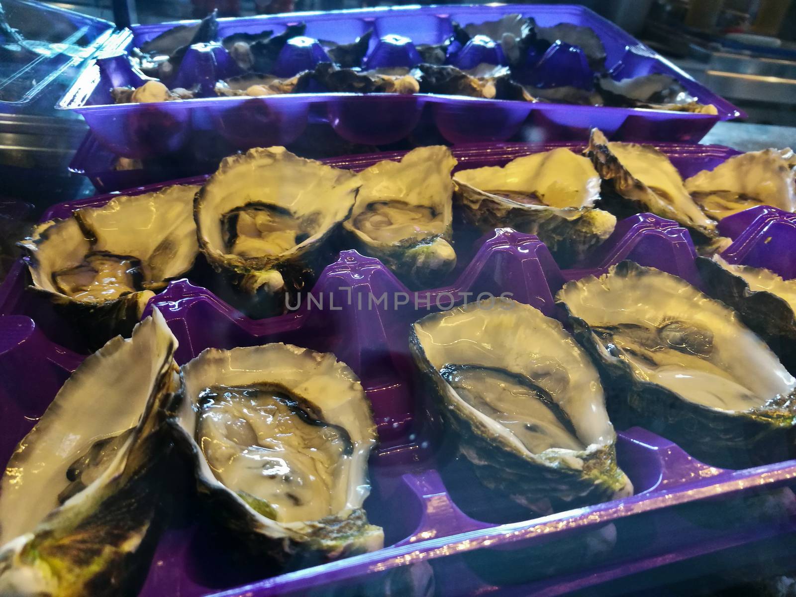 Sydney rock oysters ready to eat on a plate