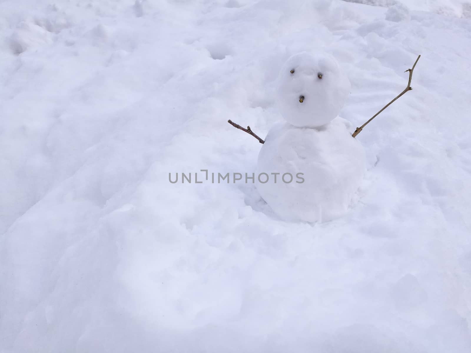 Little snow man doll with curious face