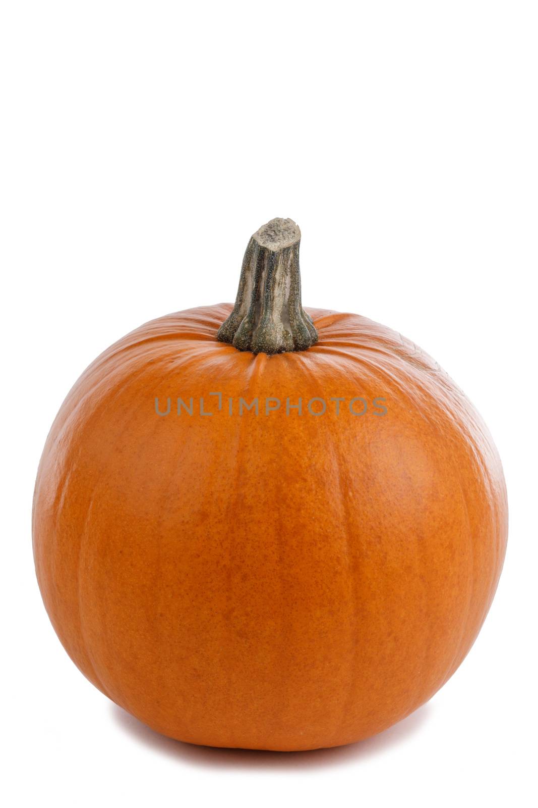 One small round orange pumpkin closeup isolated on white background