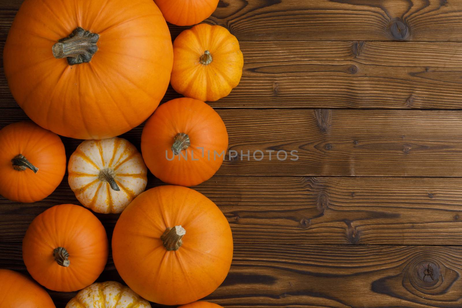 Border of pumpkins on wood background by Yellowj