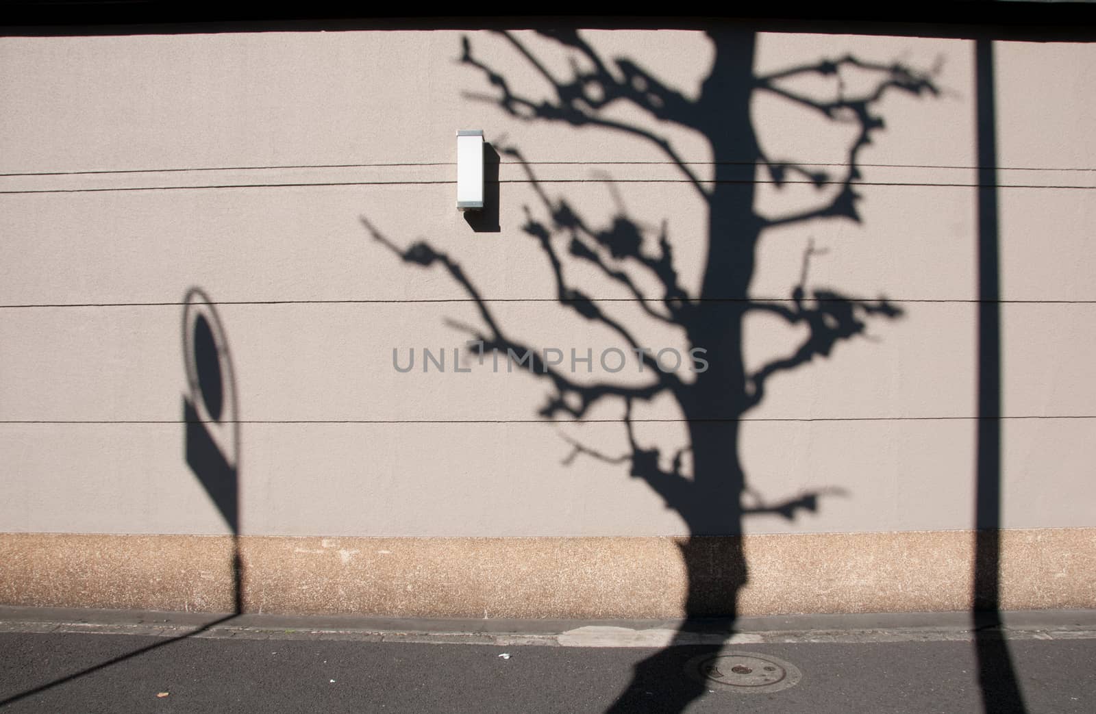 Shodow of sakura tree and traffic sign on brown wall in Tokyo Japan