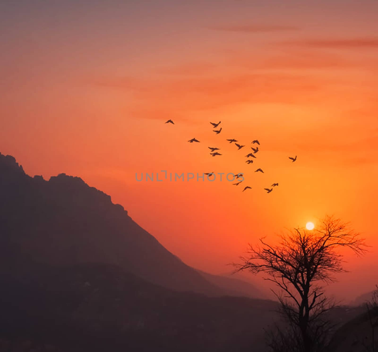 Beautiful pictures of  China