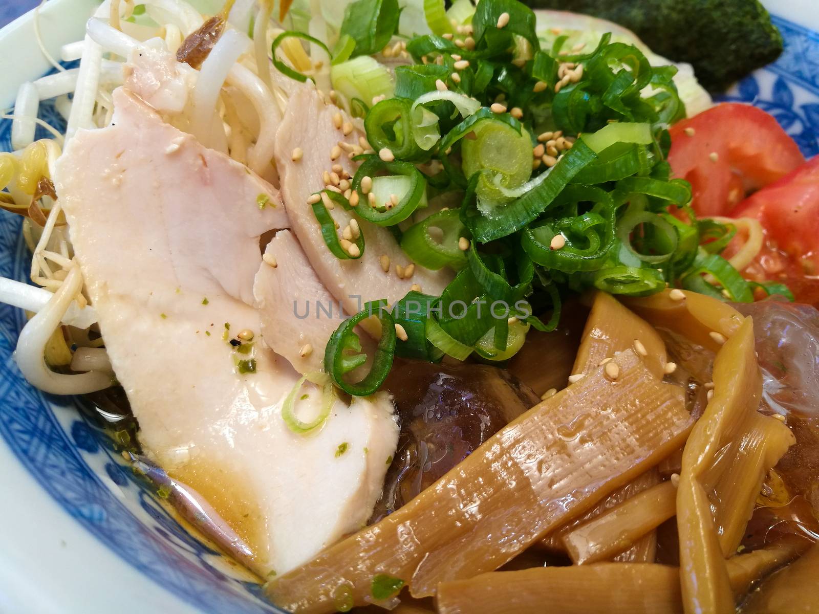 Japanese bukkakesoba buckwheat soba noodle soup served cold by eyeofpaul