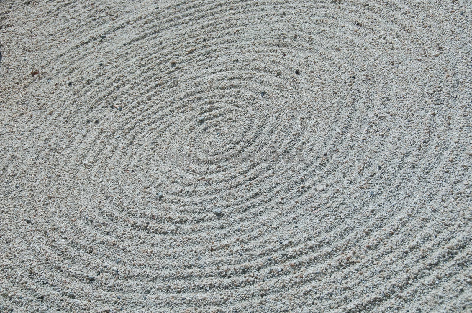 Zen circle shape white sand rock garden floor