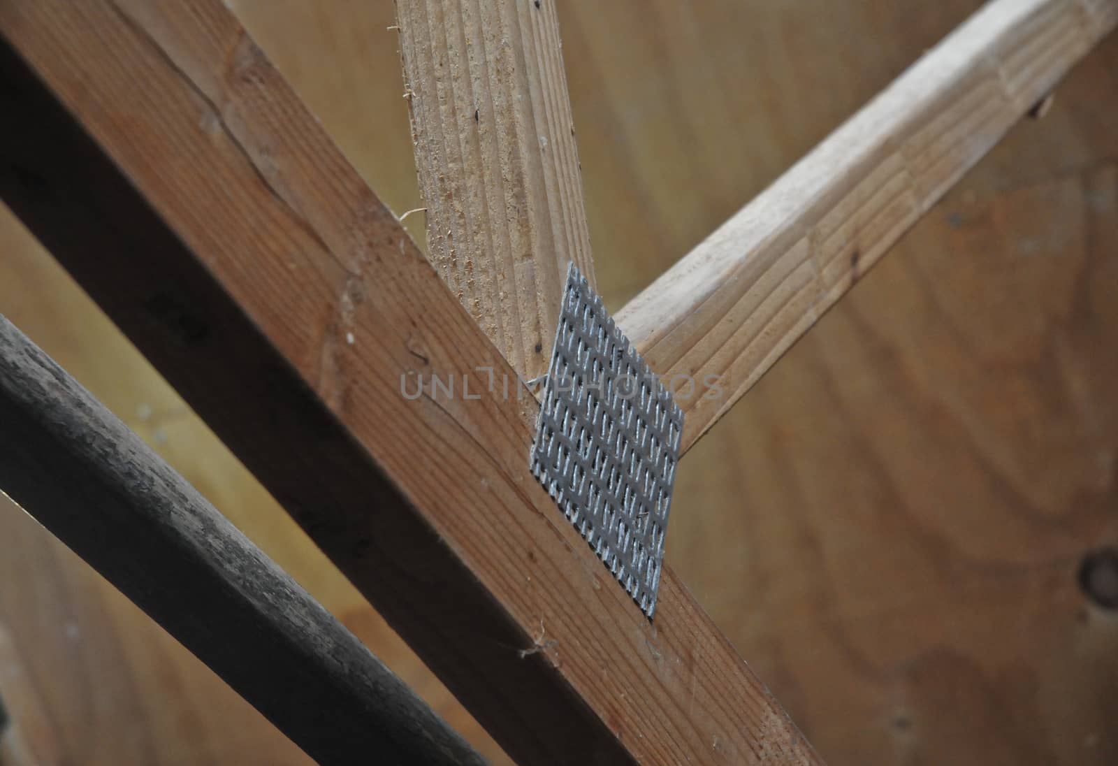 Metallic timber truss on a roof by eyeofpaul