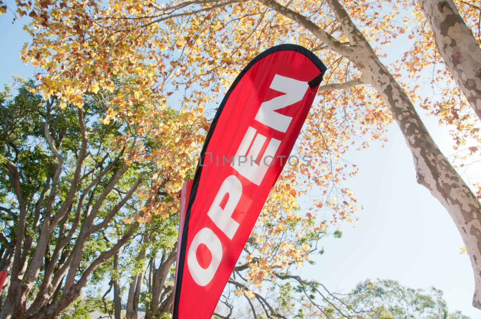 Red Open House for Sale/Rent signage in Autumn by eyeofpaul