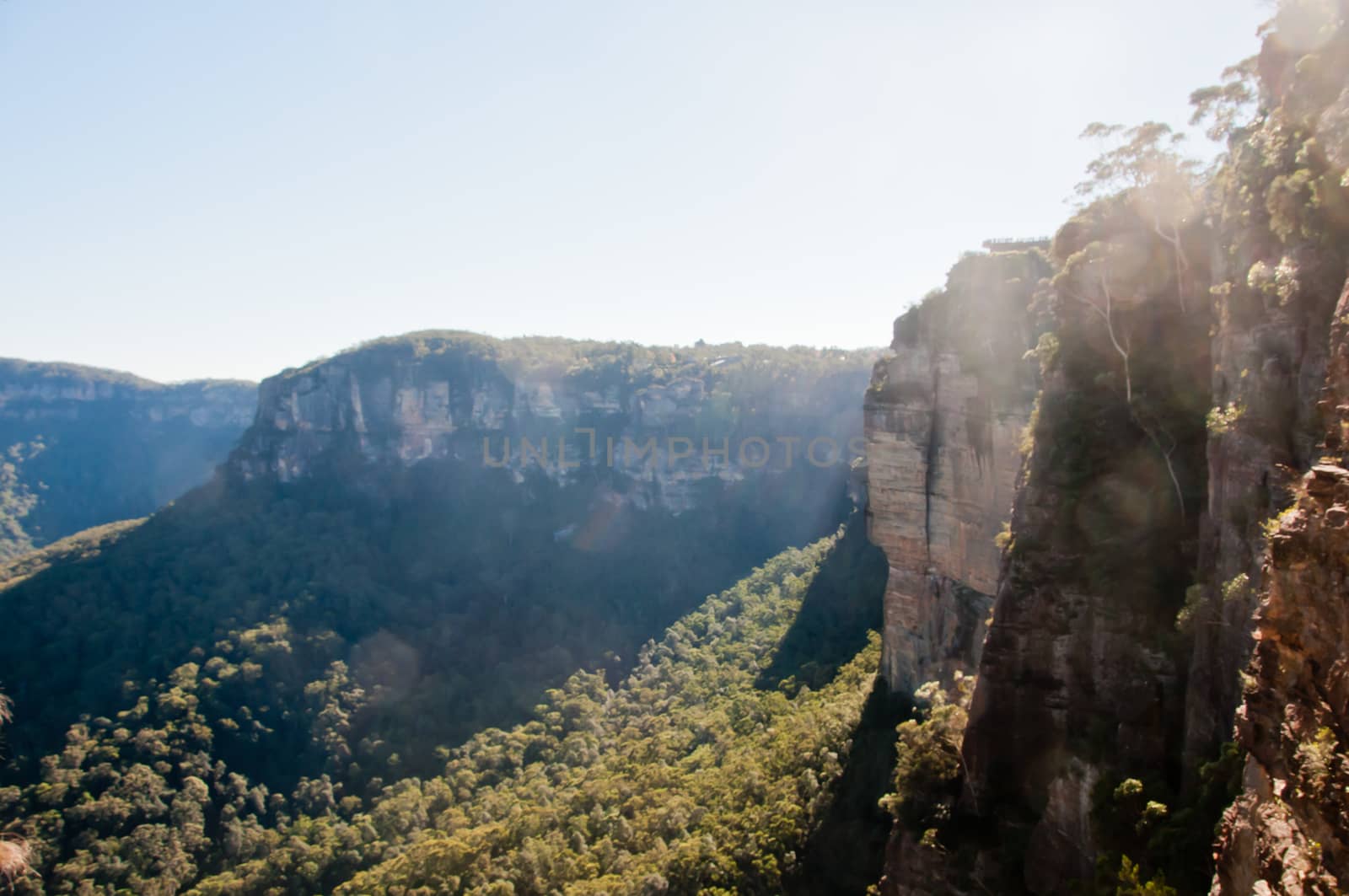 Deep forest with tall cliff and sun beam in the afternoon in Blue Mountain NSW Australia