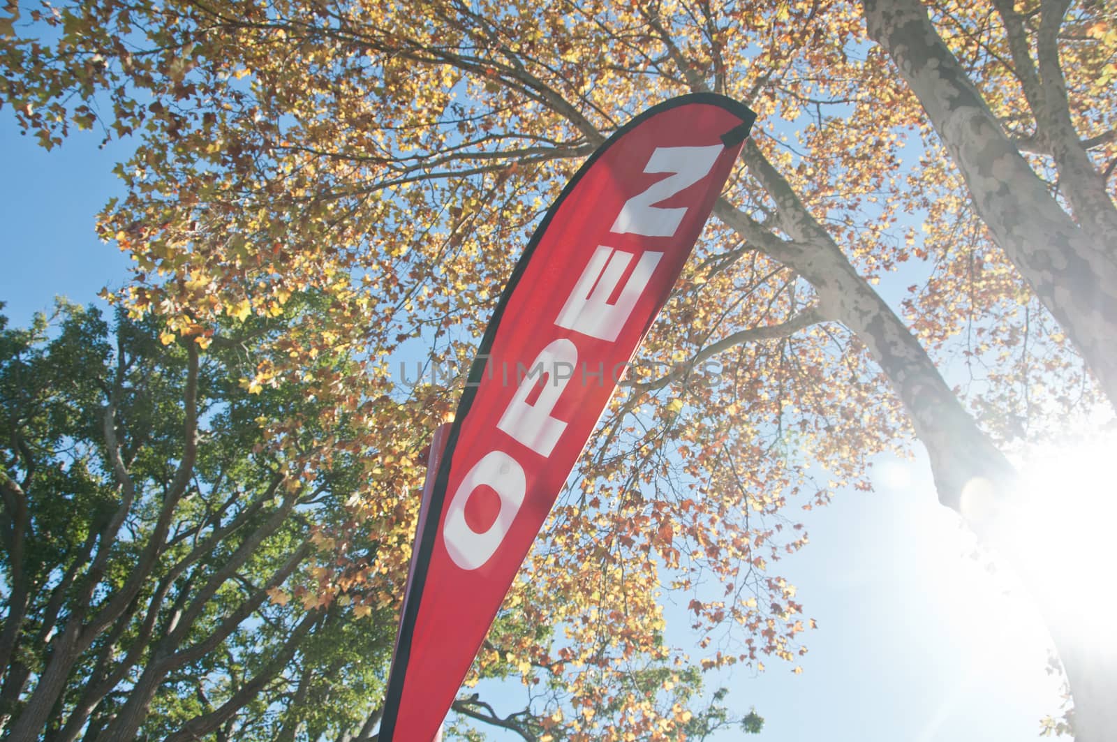 Red Open House for Sale/Rent signage in Autumn by eyeofpaul