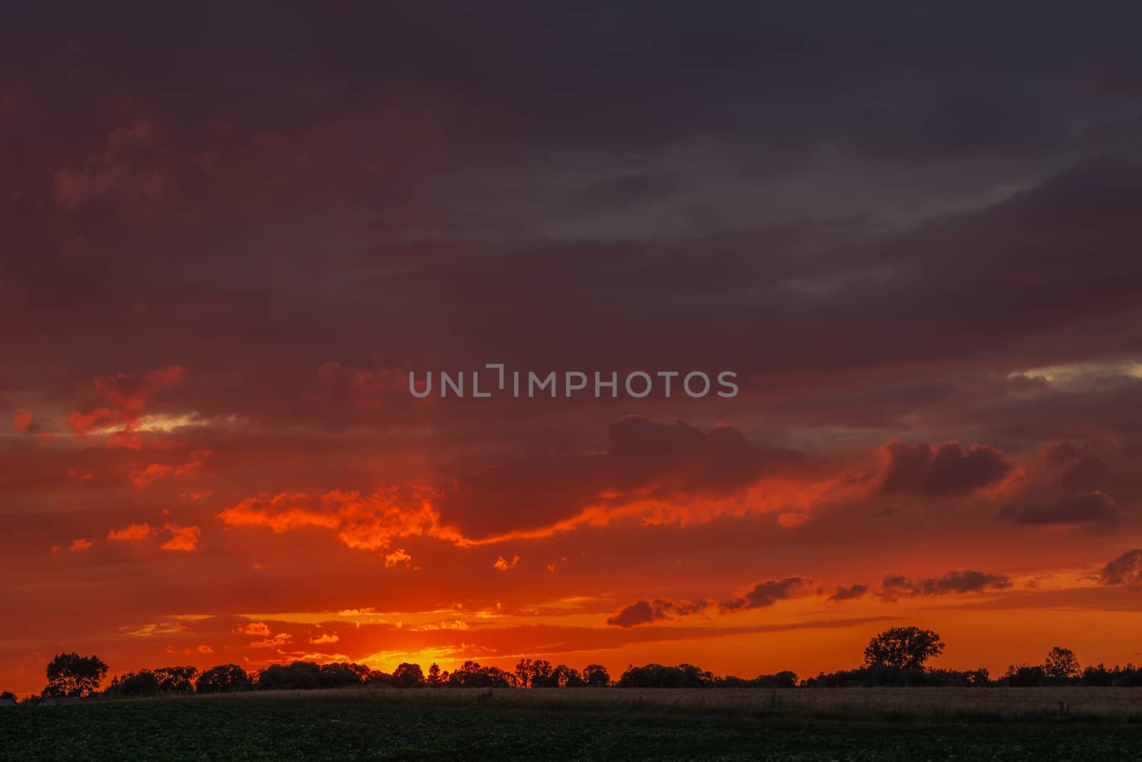 Beautiful fiery sky and clouds during sunset, summer evening view