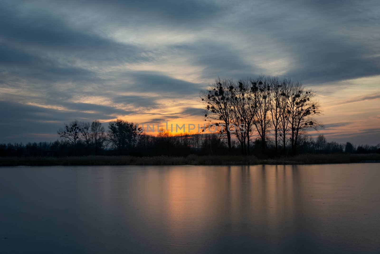 The reflection of tree trunks in a frozen lake, sunset and sky clouds, winter landscape view