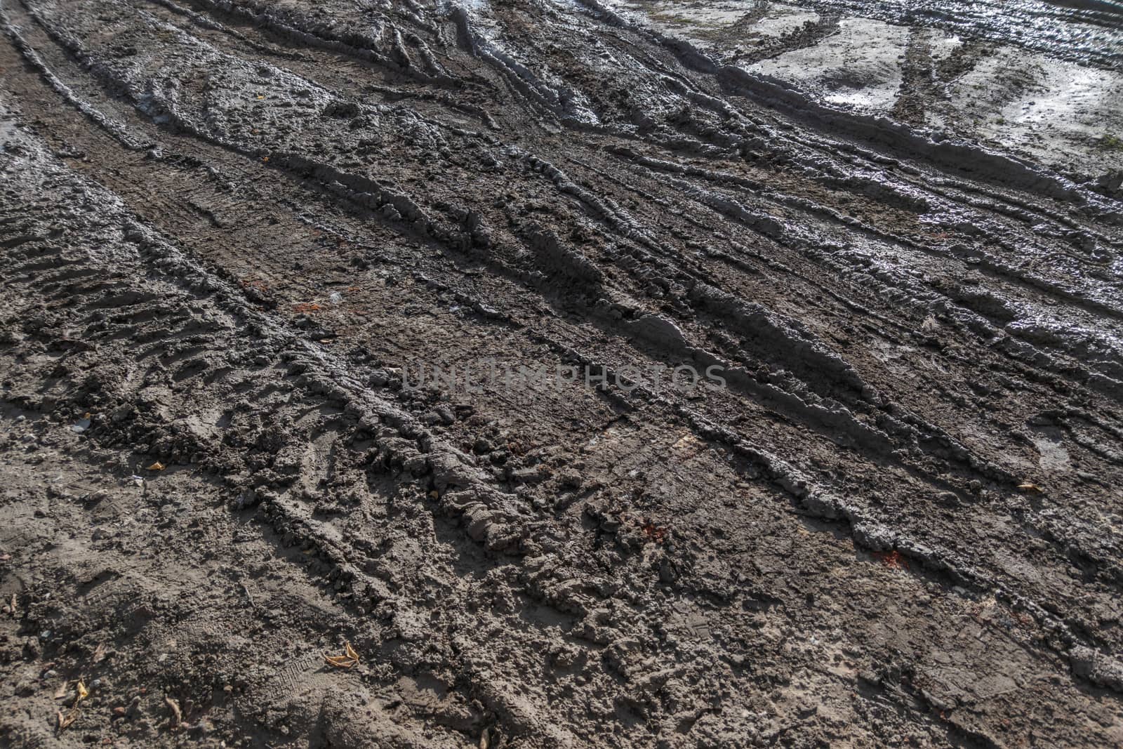 close-up full frame view of wet muddy dirt road at evening sun light.