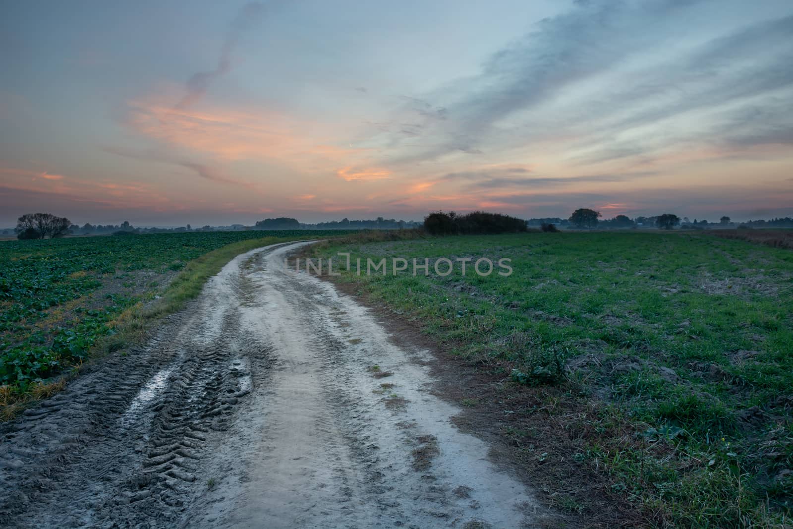 A dirt road through green fields and clouds after sunset, summer evening view