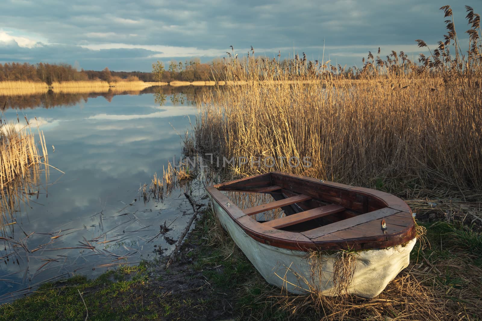 A small boat in reeds on the shore of a lake, spring day view