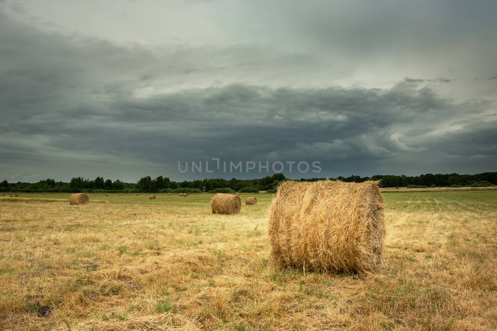 Hay bales in a field and cloudy sky, rural summer landscape