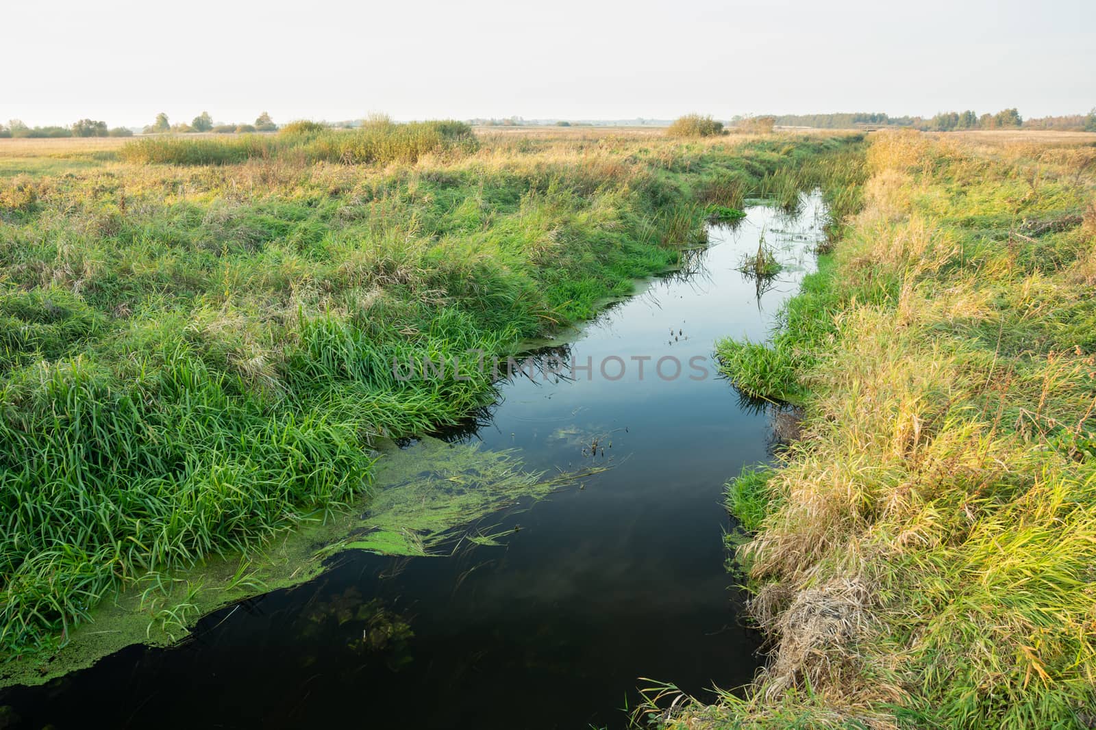 A small river with grasses on the bank, meadows and horizon, autumn view, Uherka, eastern Poland